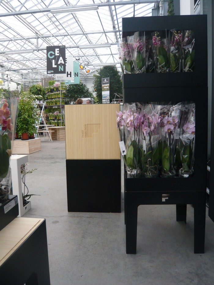 Orchideeen display maarten olden