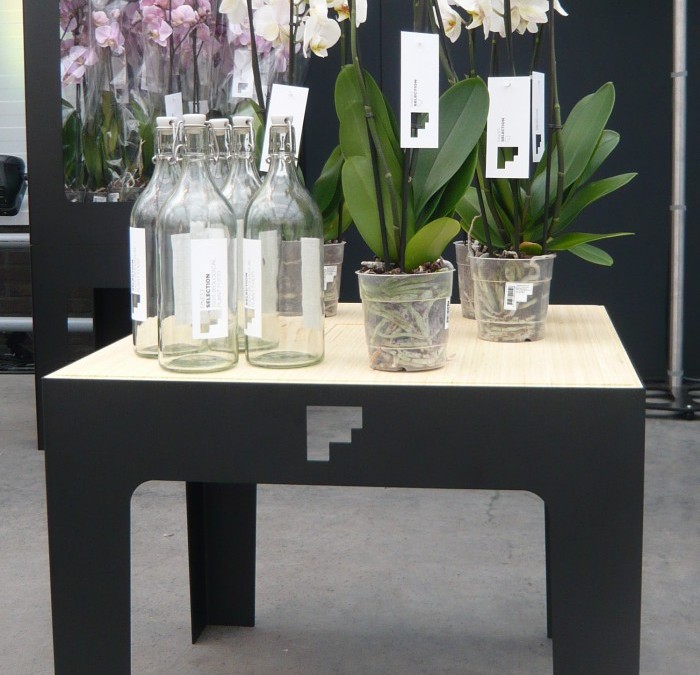 Orchideeen display II